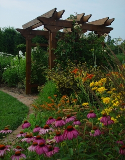 Spectrum border trellis